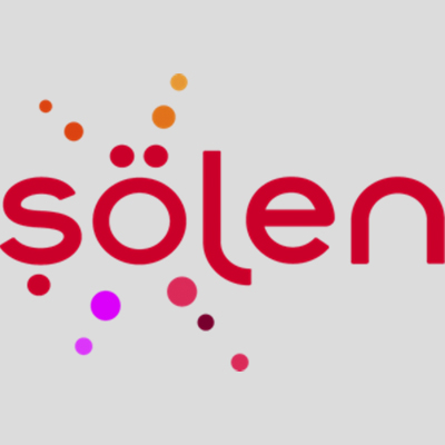 Şölen